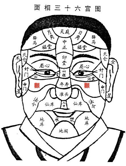 面相看颧骨与子女,面相颧骨看财运吗女生