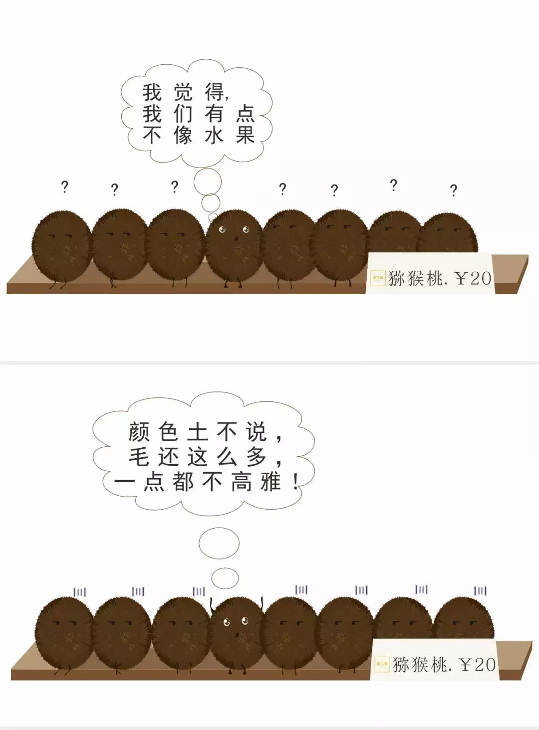 每周一漫｜想变高雅的猕猴桃