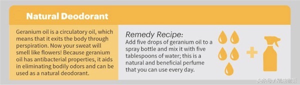 天竺葵精油的15种益处