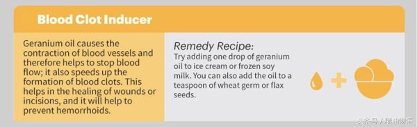 天竺葵精油的15种益处