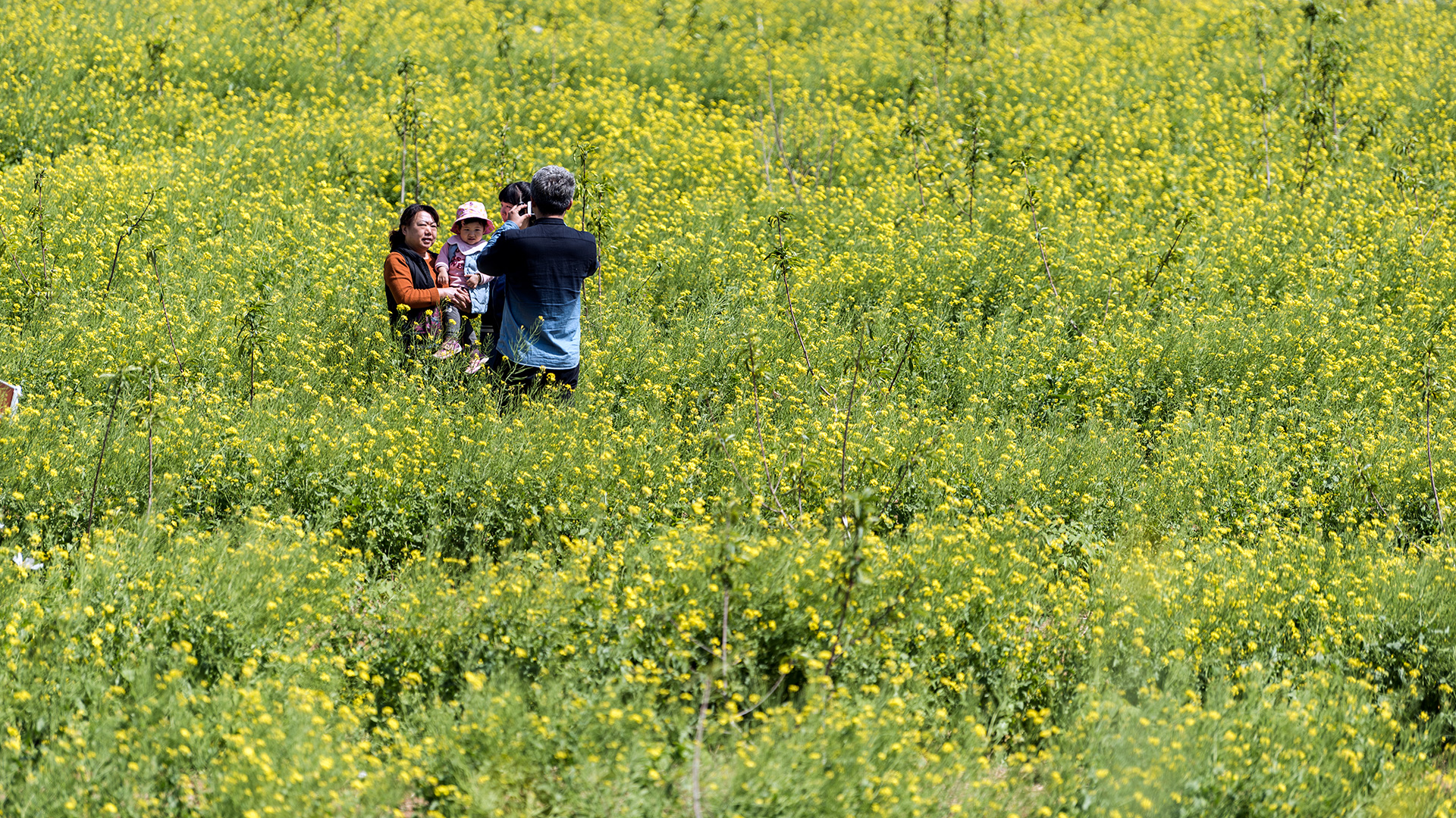 娴庡崡鏄ユ殩鑺卞紑楦熻鑺遍,娴庡崡鏄ユ剰鐩庣劧