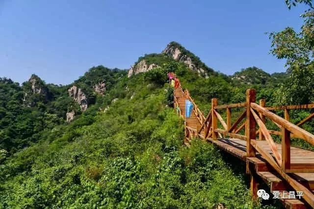 五彩田园农业嘉年华半日游,最美春天旅游攻略