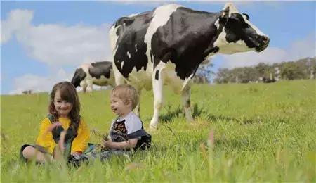 1分钟了解进口原装奶粉排行榜,奶粉奶源最好的是哪些