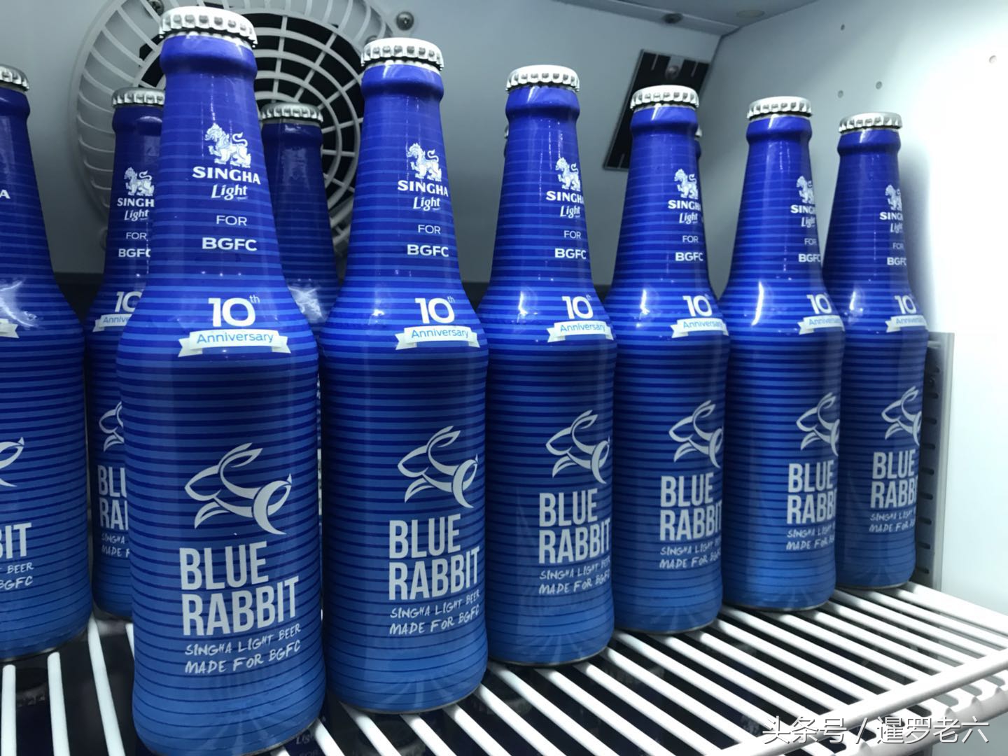 有一款啤酒，去过泰国的朋友肯定都没喝过！蓝兔可爱，只供泰超！