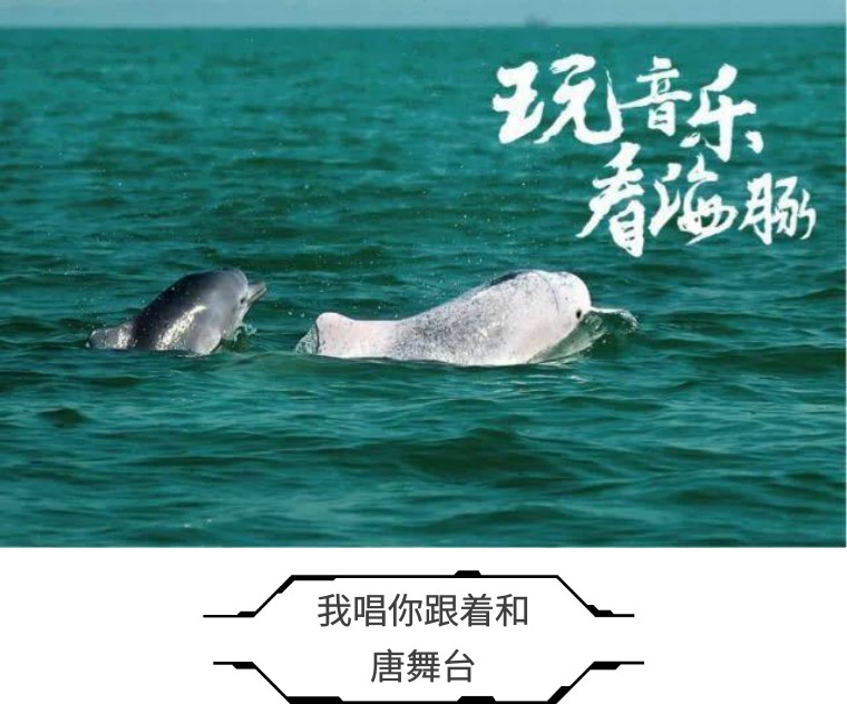 钦州常滩迷笛音乐节,钦州迷笛音乐节阵容