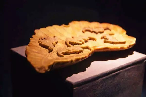 浙江丽水最值得去的地方,丽水旅游景点和美食