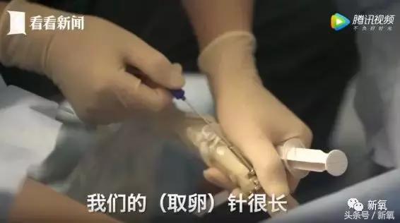 骗女生上床还买卖女生卵子，这些卖卵中介去死吧！