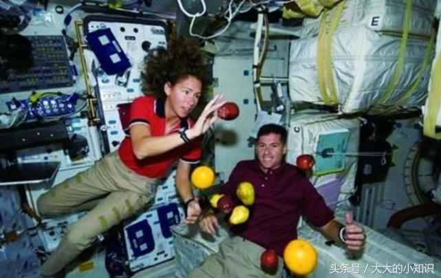 为什么美国航空航天局要把大量的精子送入轨道？看完后实在是佩服