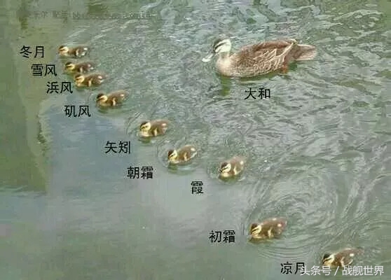 趣图集锦涨姿势，大和舰队出击是什么样的？扶桑满身都是违章建筑