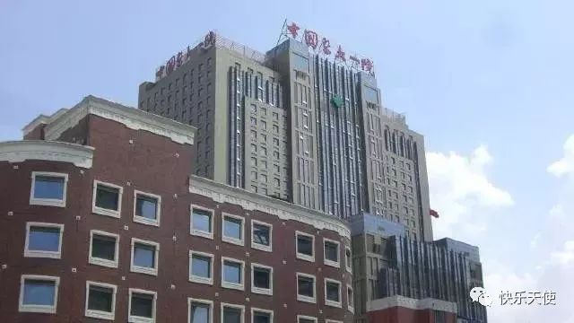 铲屎官们关注了,铲屎官们会遇到的问题