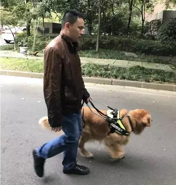 孤独的男男女女，和他们的狗