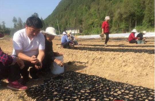 不想被坑这四种事情不要做,不想失败怎么办