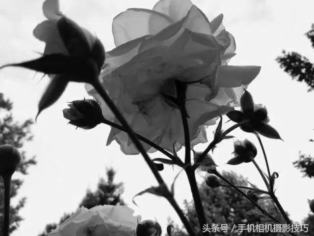 手机拍照放大了画质惨不忍睹？试试这个方法，没准还有救