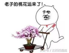 怎样才能解除桃花劫,消除桃花劫的方法