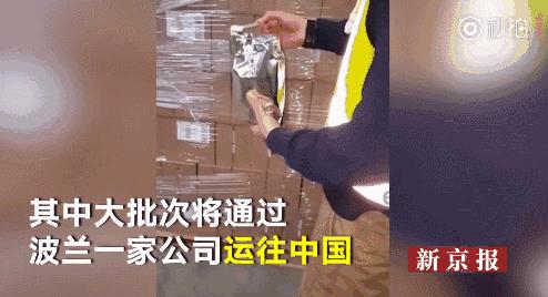 宝妈们关注了！8吨1.3箱假奶粉在海外运往中国的路上被发现了