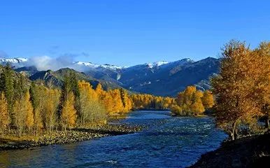 五一游玩小短文一年级,五一游玩的小短文50字