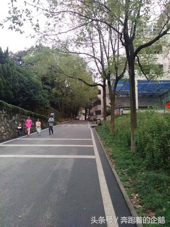 我们曾经脚下的土地——湖铁大院