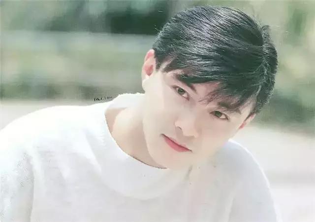 黄飞鸿之铁鸡斗蜈蚣为什么冷门,黄飞鸿之铁鸡斗蜈蚣老艺人