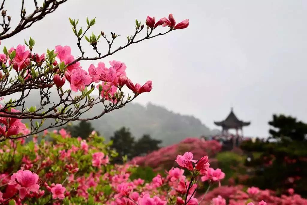 麻城龟峰山美景,麻城龟峰山风景区美照