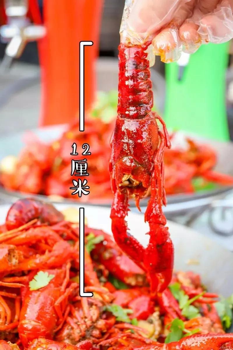 2018年成都小龙虾地图，这15家全是尖货