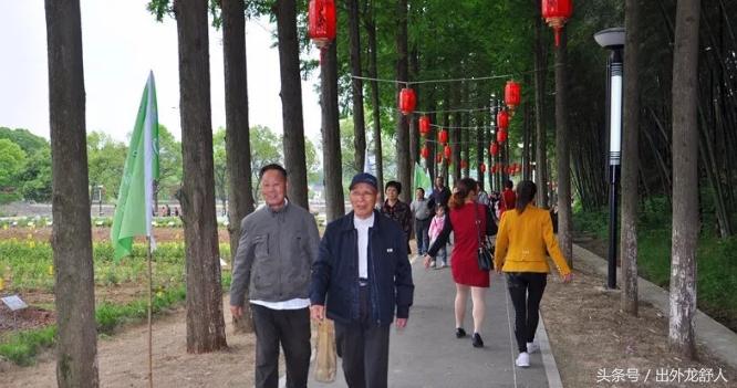 舒城景区视频,舒城十大景点