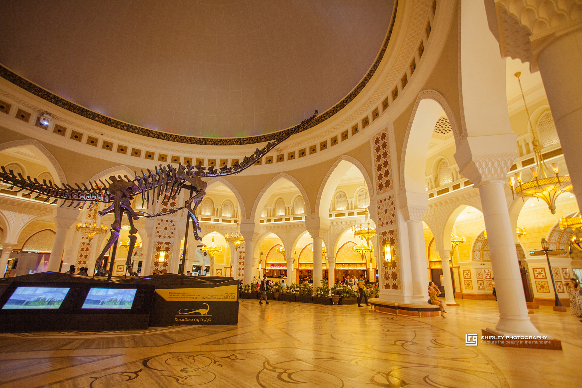 世界第一的迪拜,迪拜豪华足球场