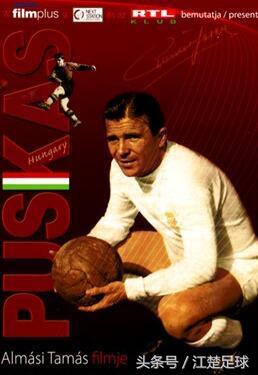 足球波兰对匈牙利,体育足球匈牙利