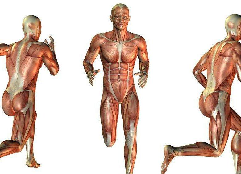 运动肌肉劳损康复,运动防止拉伤的小技巧