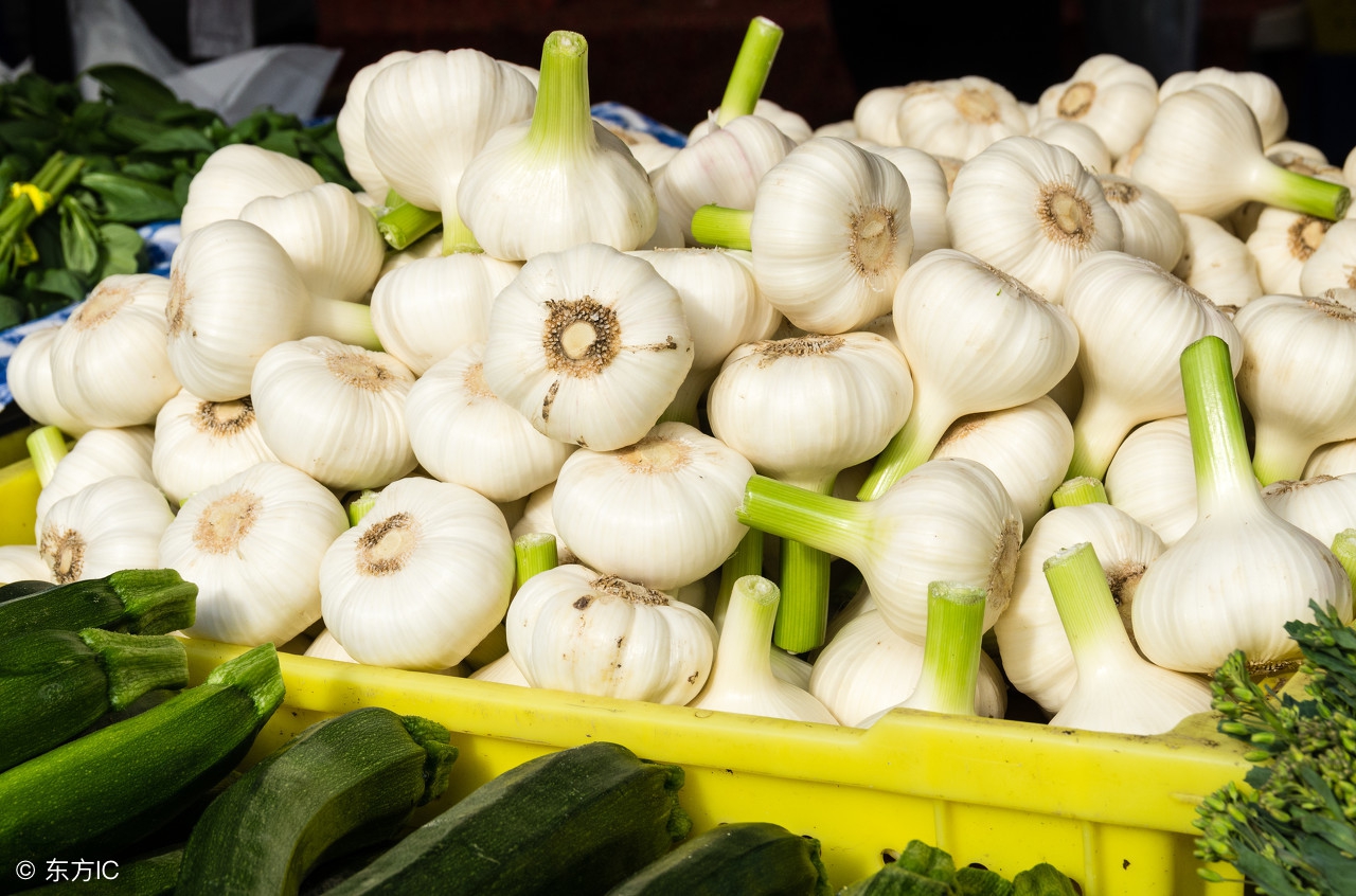 莱西蔬菜批发市场杰哥直播,徐寨镇大蒜市场蒜薹最新价格