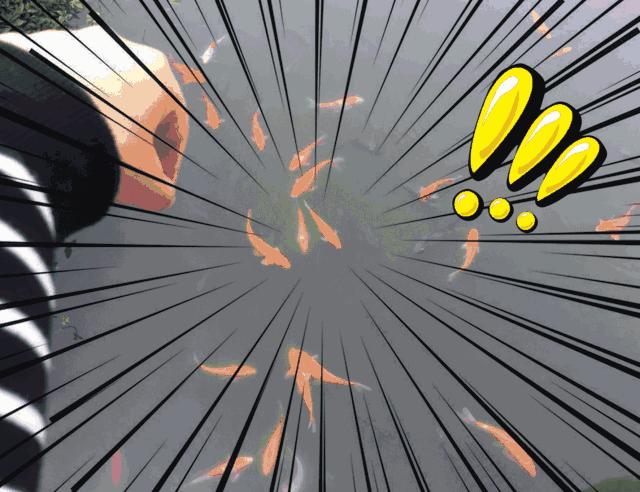 湛江二中旧校区,湛江二中在哪啊