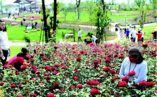 湖北省城市新建项目,湖北各市新地标