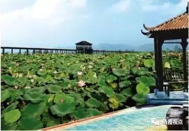 如果遇见你抖音版,如果遇见你2018浙江卫视
