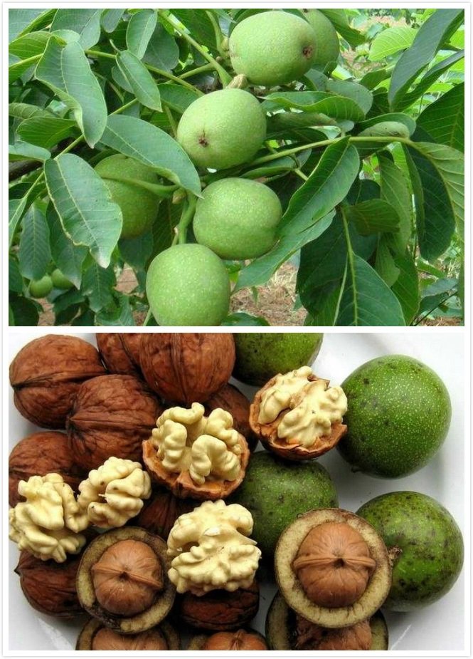 每天一个历史冷知识,每天一个冷知识国家