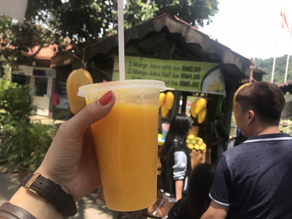 行走马来美食攻略,马来西亚的特色美食和景点