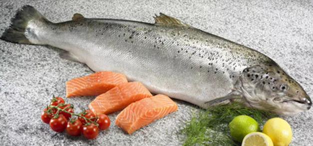 把鱼翅当宝，还花大钱买的人要关注了，谨慎汞中毒