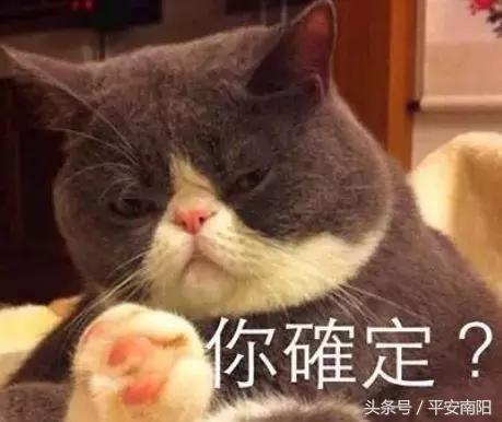 河南人！关注这个新*局骗**！打着物联网的旗号，号称一分不投两年赚2400万……