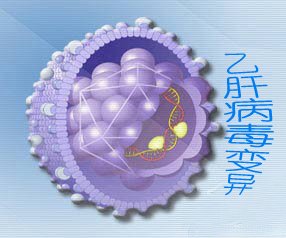 恩替卡韦有哪些不良反应？长期用药需关注什么？