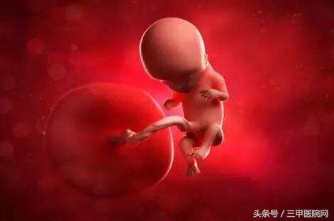 大s胎停育怎么回事,大s胎儿停育指标图解
