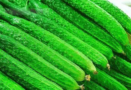 想赚钱的看过来图片,想发家致富的看过来