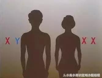 酸男辣女的说法准吗,男酸女碱是伪科学吗