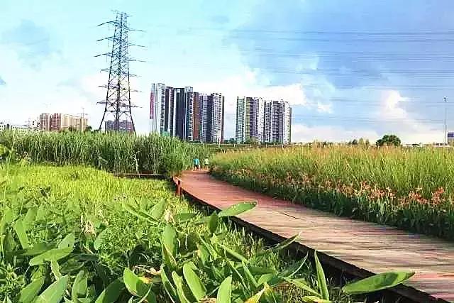 深圳必看的免费景点,玩转深圳十大免费景点