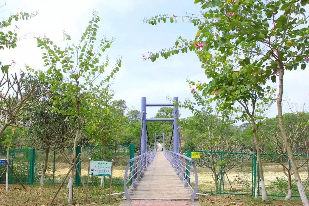 深圳必看的免费景点,玩转深圳十大免费景点