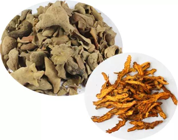 中草药治鱼病？听听专家怎么说~