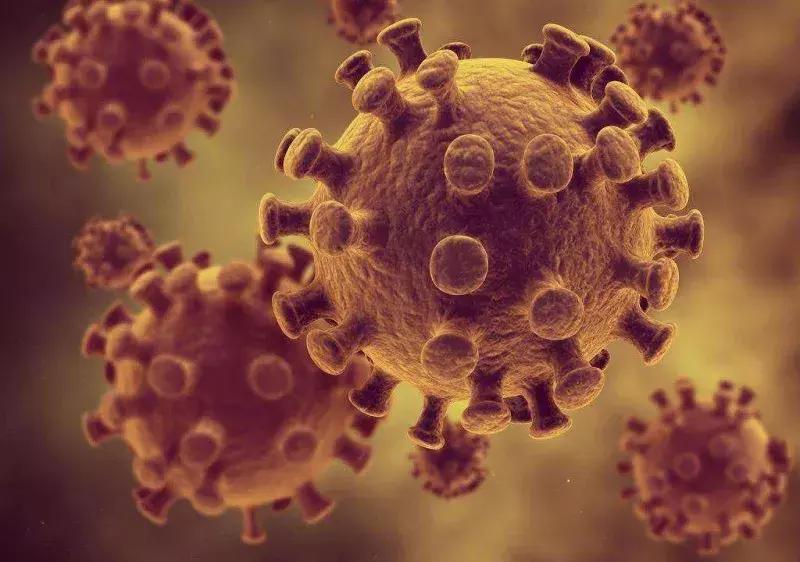 食肉菌感染截肢,食肉菌感染有多可怕