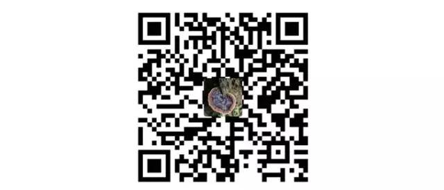 设计师必备的字体设计,设计师字体设计