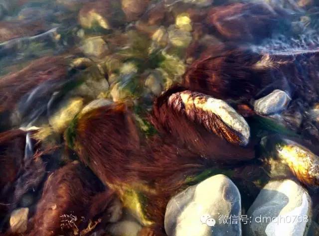 旅游一日游塔尔寺,塔尔寺一日游推荐