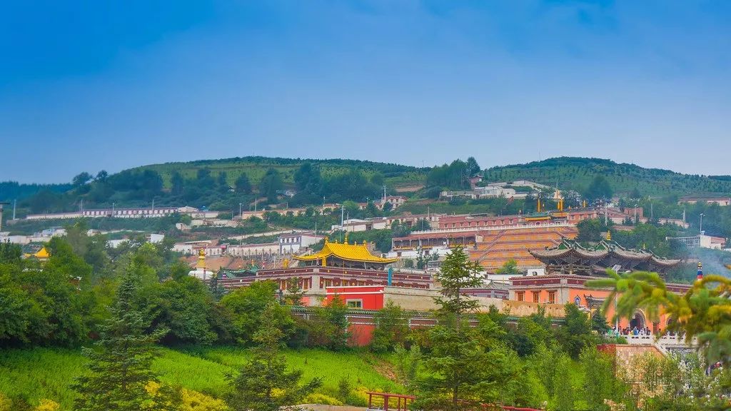 旅游一日游塔尔寺,塔尔寺一日游推荐