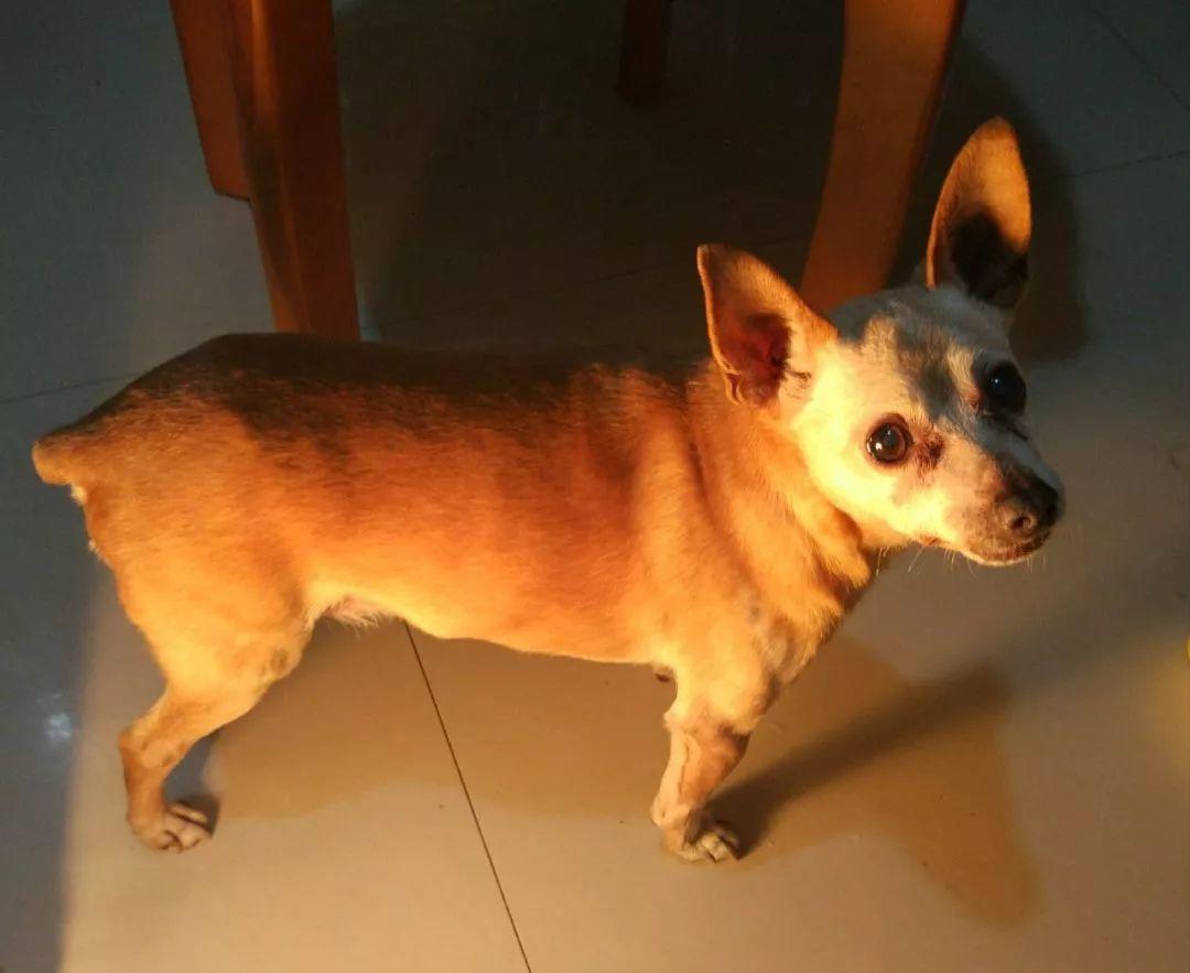 汶川地震十年重走北川老县城,汶川地震10个人现在过得怎么样了