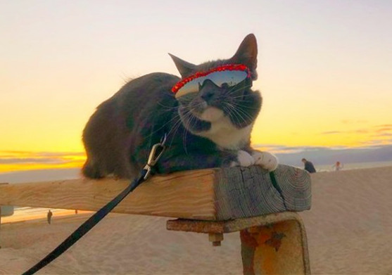 上帝给他关上了一扇门续写,上帝给他关上一扇门却打开一扇窗