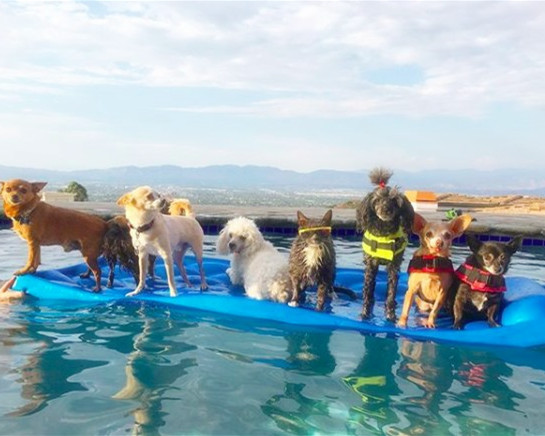 上帝给他关上了一扇门续写,上帝给他关上一扇门却打开一扇窗